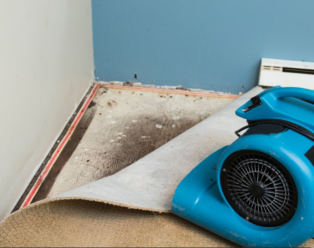 Commercial Carpet Dryer