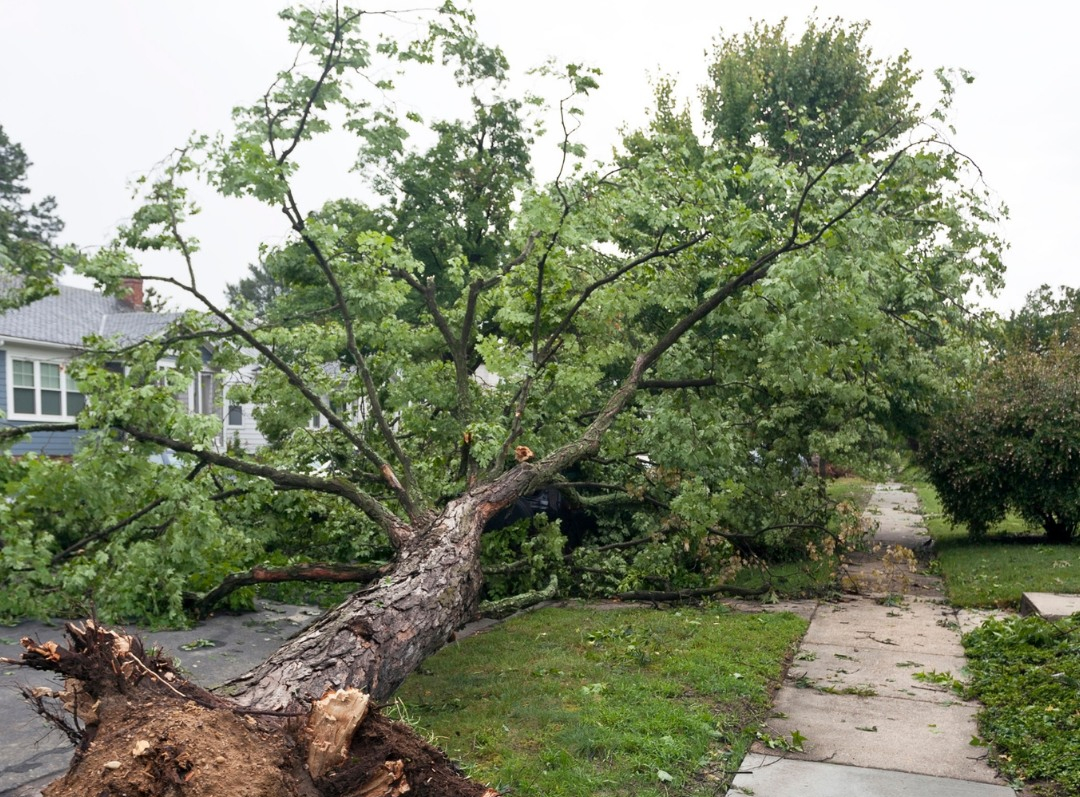 Storm Damage Repair