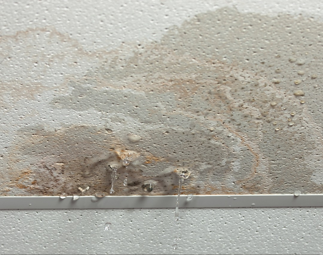 Water Damaged Ceiling